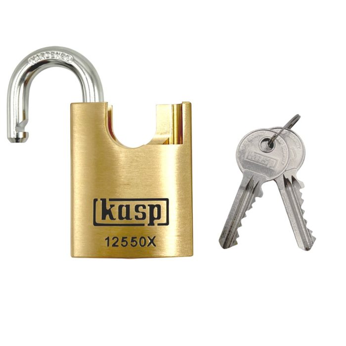K12550CS_2_1 K12550CS_2_1
